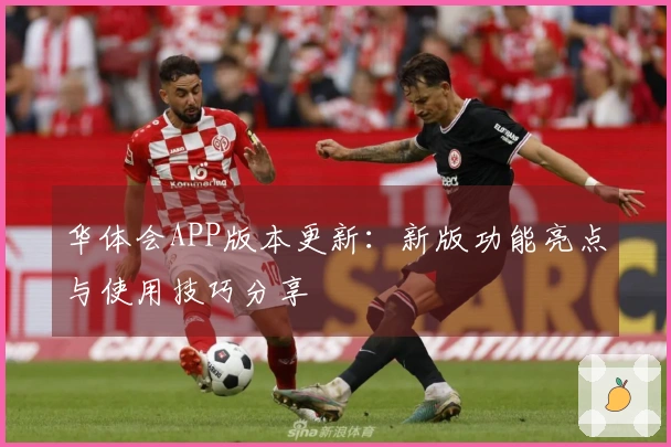 华体会APP版本更新：新版功能亮点与使用技巧分享