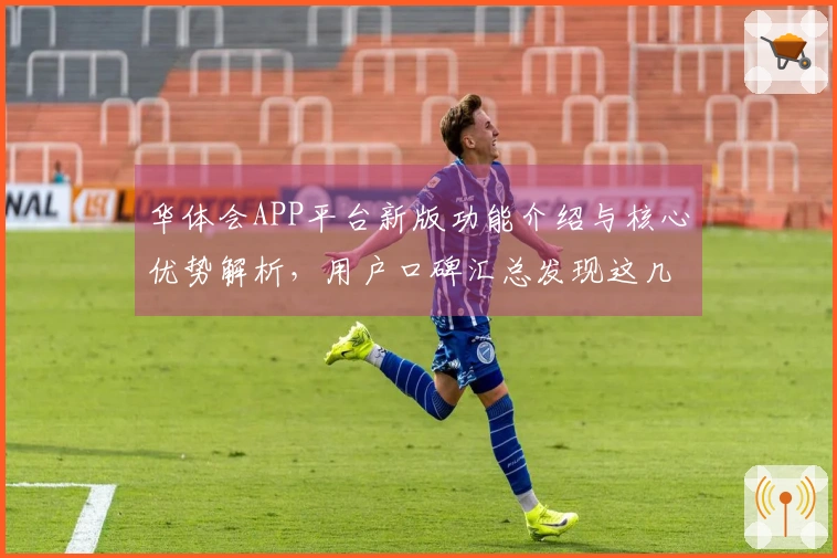 华体会APP平台新版功能介绍与核心优势解析，用户口碑汇总发现这几个功能最受欢迎